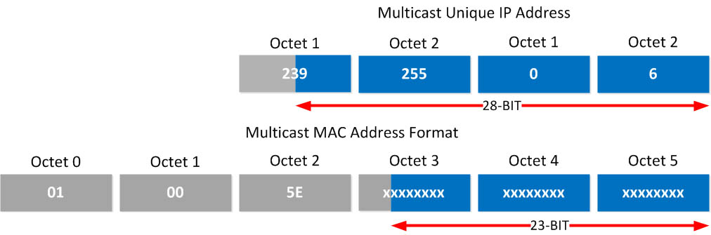 dia chi ip multicast