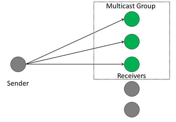 multicast group